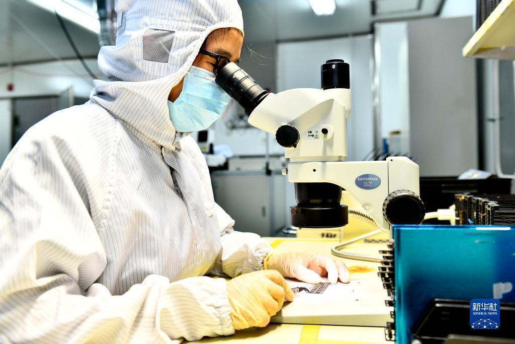 波克捕鱼创始人是谁